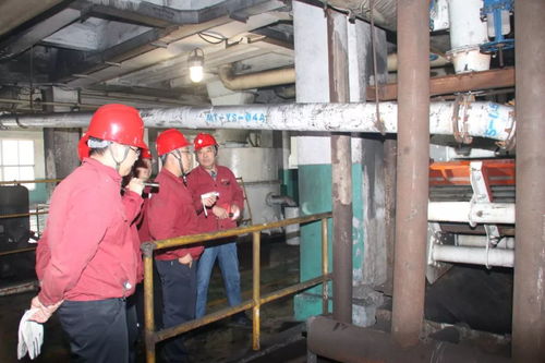 馬頭洗選廠提前完成全年生產任務，技術推廣助力高效發展