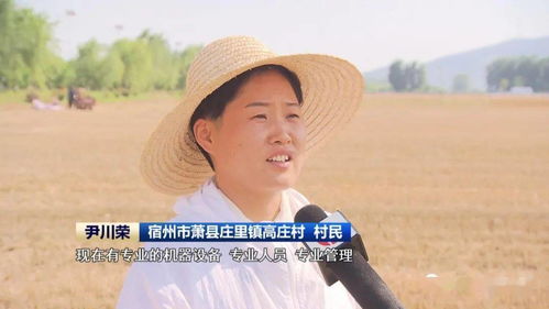 安徽 農(nóng)機社會化服務(wù)助力夏收提速提質(zhì)，技術(shù)推廣是關(guān)鍵