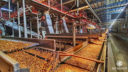 技術(shù)驅(qū)動創(chuàng)新，智慧賦能發(fā)展——云南煙葉復(fù)烤有限責(zé)任公司楚雄復(fù)烤廠2021烤季生產(chǎn)任務(wù)圓滿完成