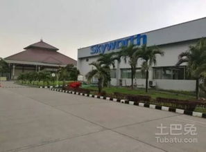 TCL與創(chuàng)維攜手拓展海外市場 技術(shù)交流驅(qū)動(dòng)新合作布局